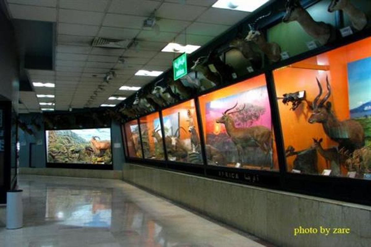 موزه تنوع زیستی پردیسان در ایام نوروز برای بازدید کنندگان باز است
