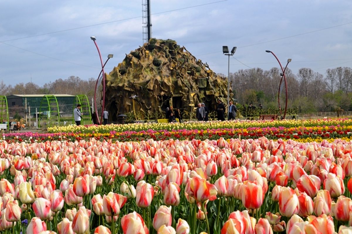 کاشت ۳ میلیون نشای گل فصلی برای استقبال از بهار ۹۶ در ارومیه