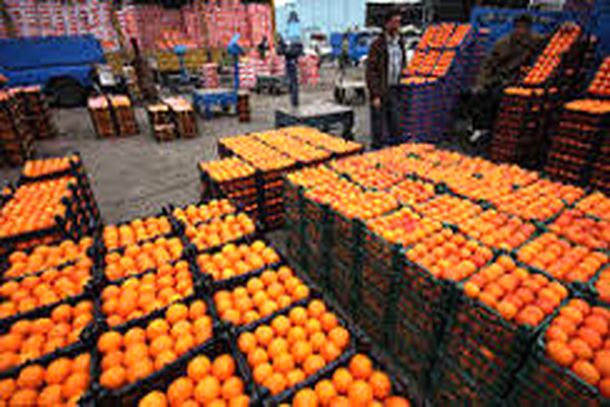 ۷۰۰ تن پرتقال و ۳۰۰ تن سیب در جهت تنظیم بازار قم ذخیره سازی شد