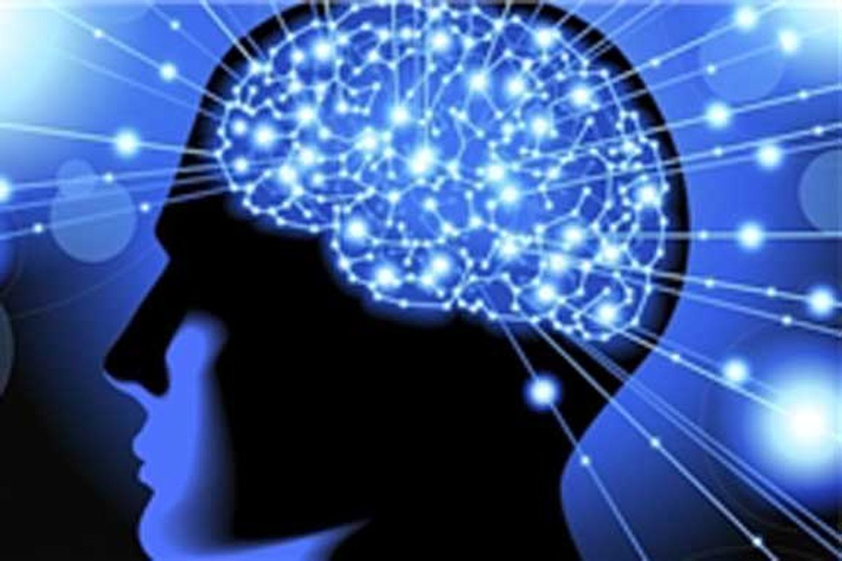 راز ذخیره سازی لغات در مغز