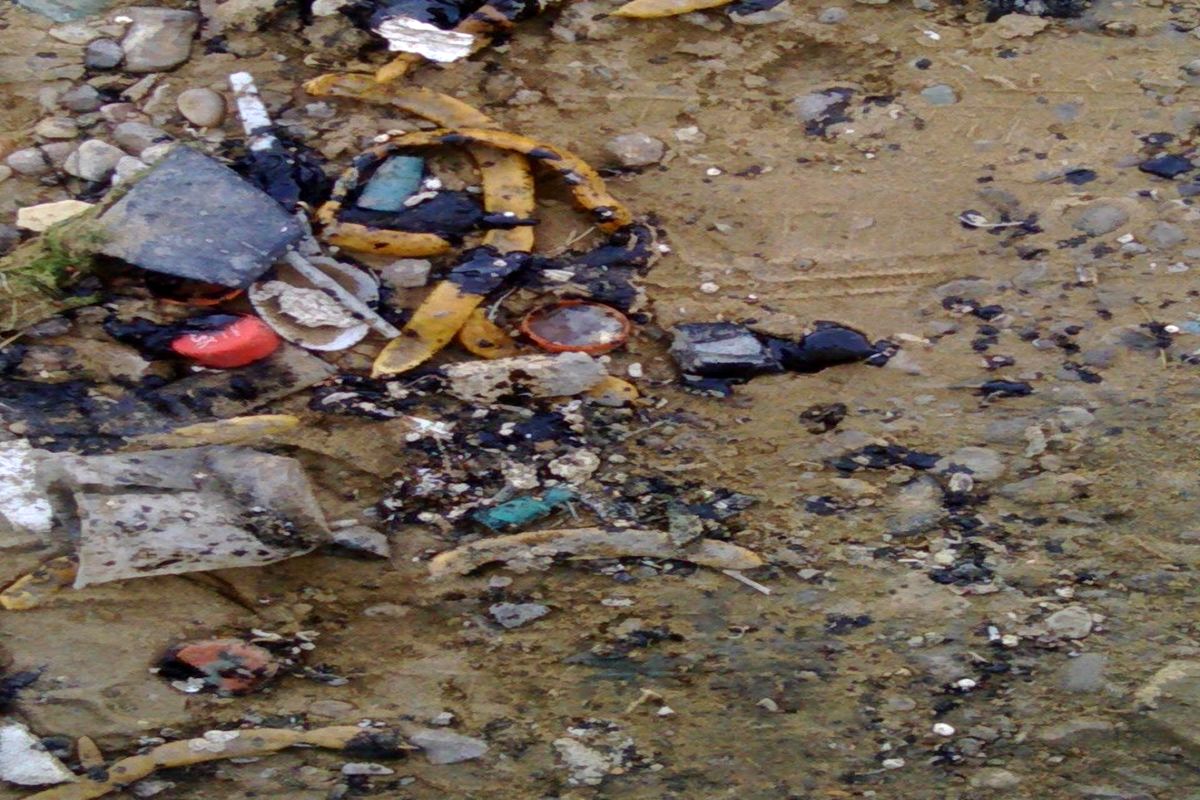 مشاهده تاربالهای نفتی در ساحل شهرستان بندرعباس