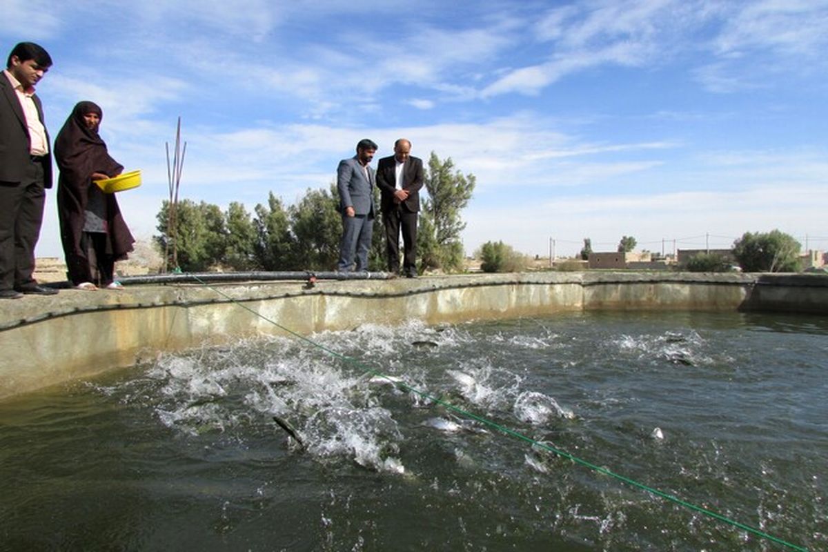 توسعه پرورش آبزیان در قفس در استان اردبیل