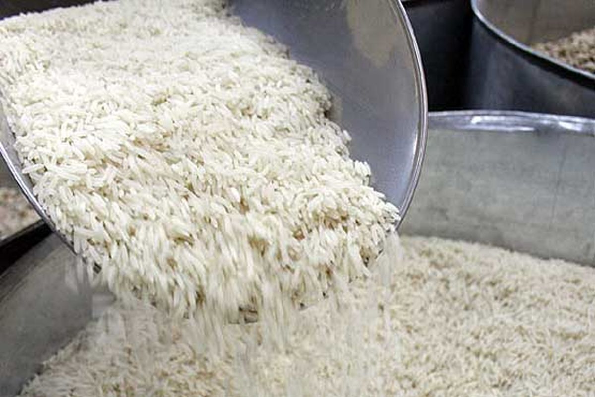 امسال افزایش قیمت برنج نخواهیم داشت