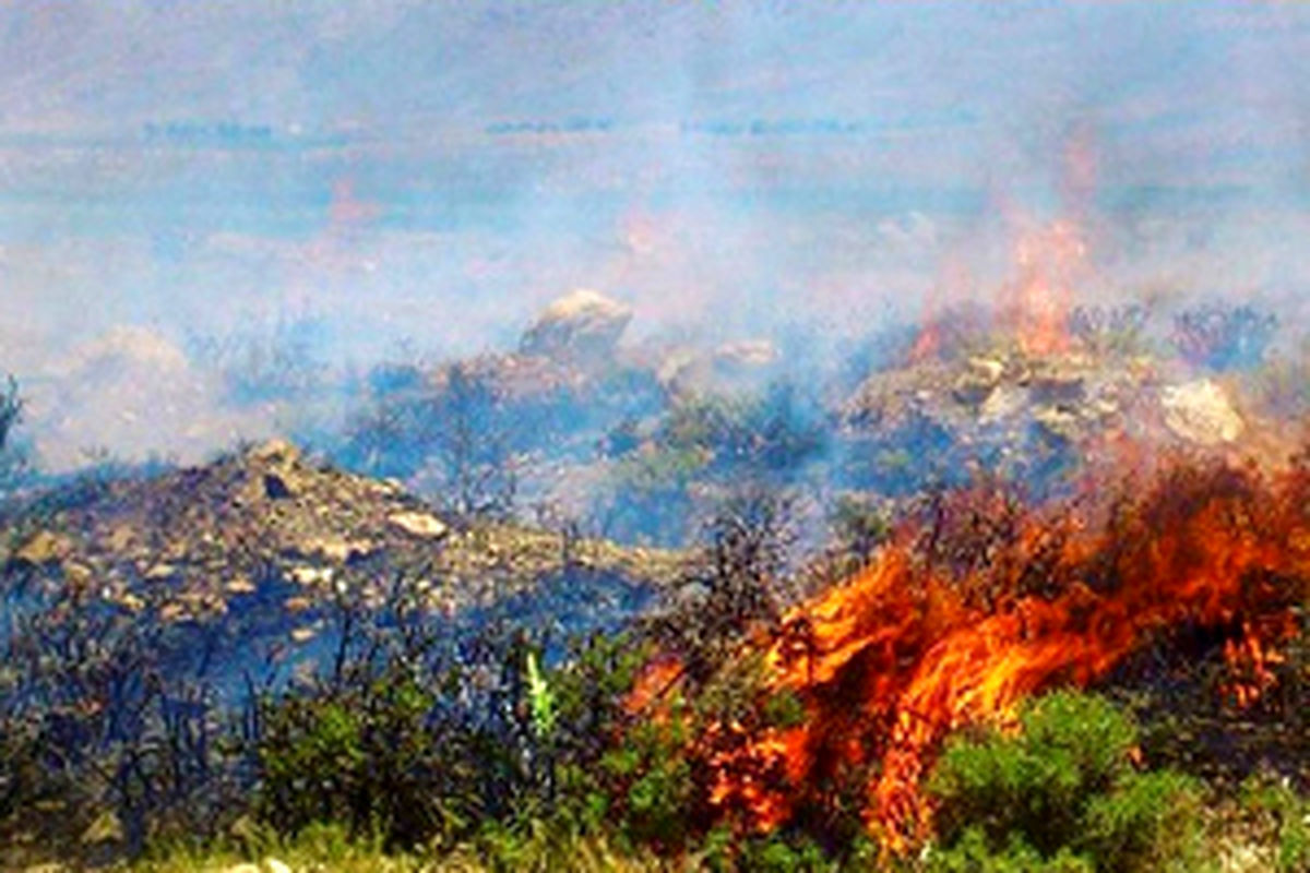 آتش سوزی در مراتع روستای شیخ شبان