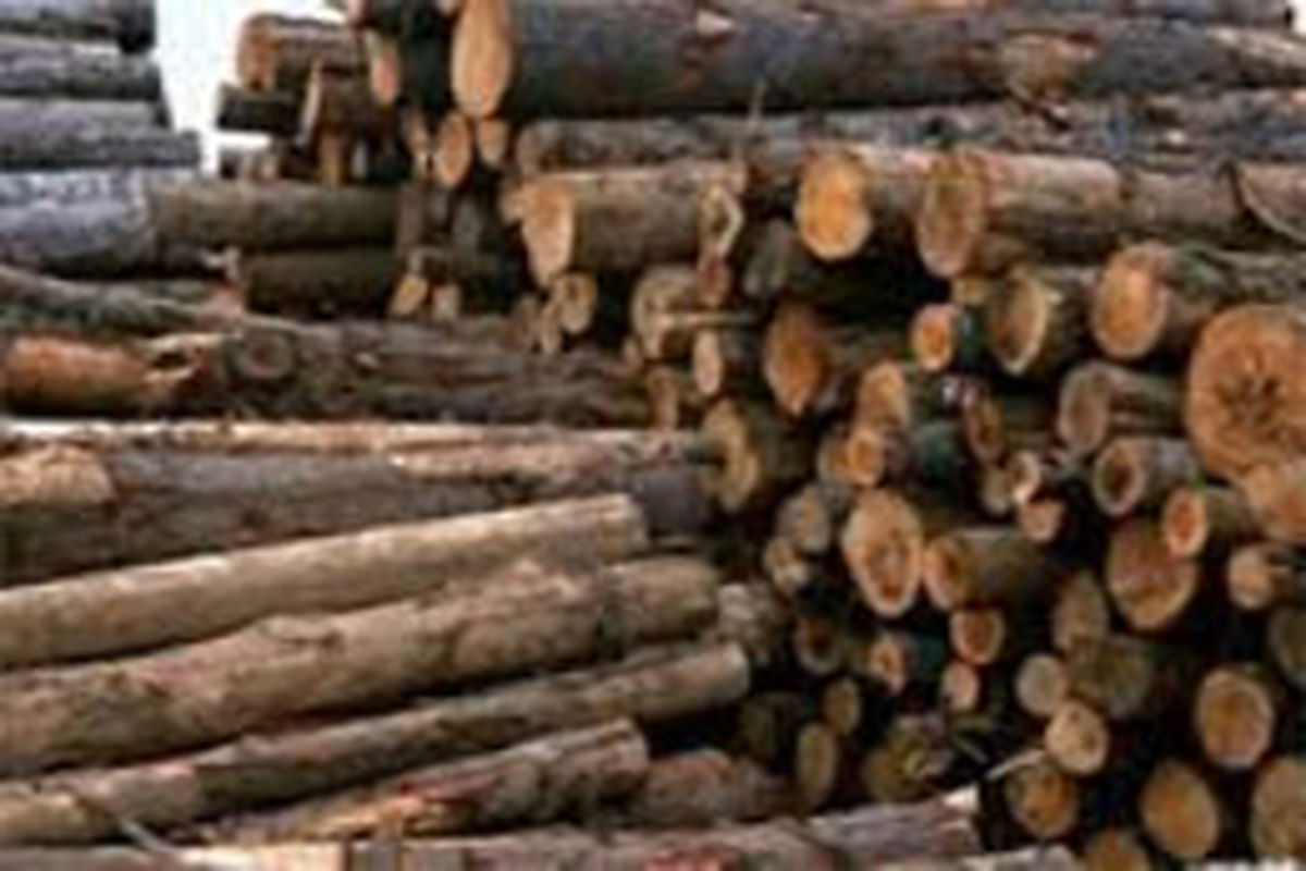 کشف بیش از ۱۰ تن چوب جنگلی قاچاق