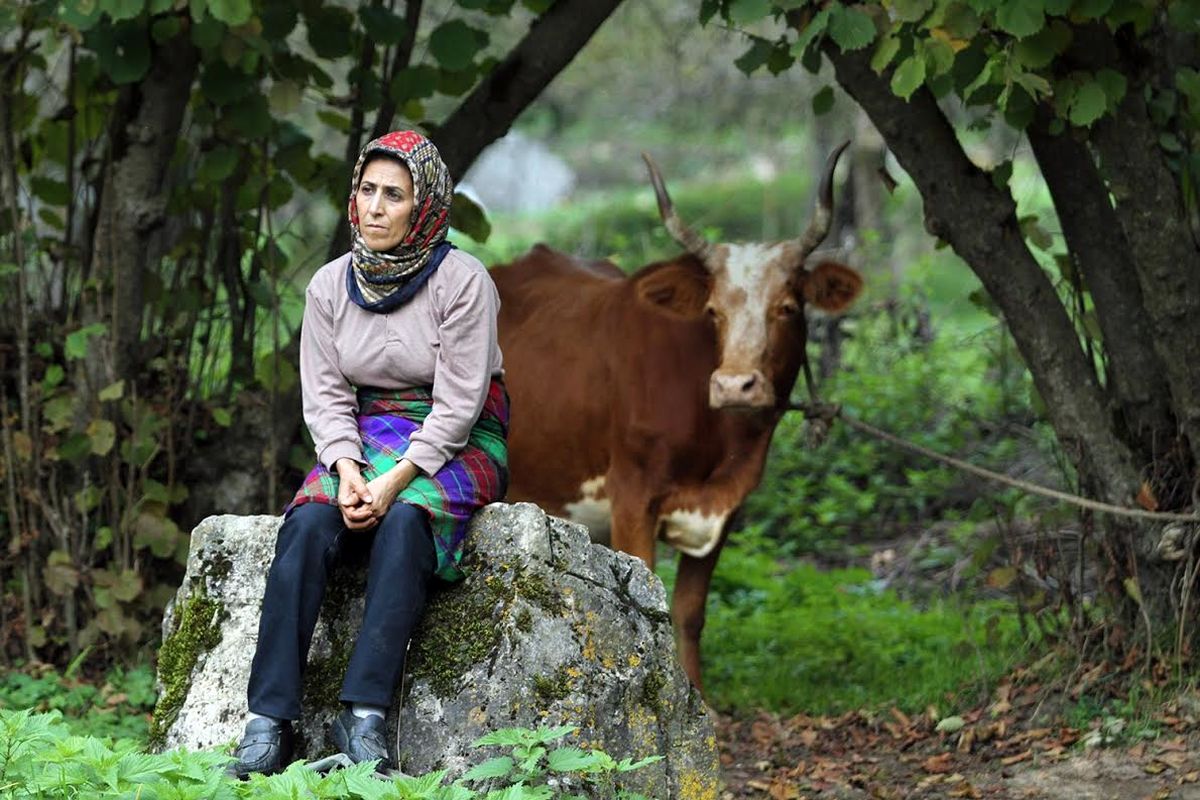 نمایش مستند «خانه ای در مه» در پرتغال