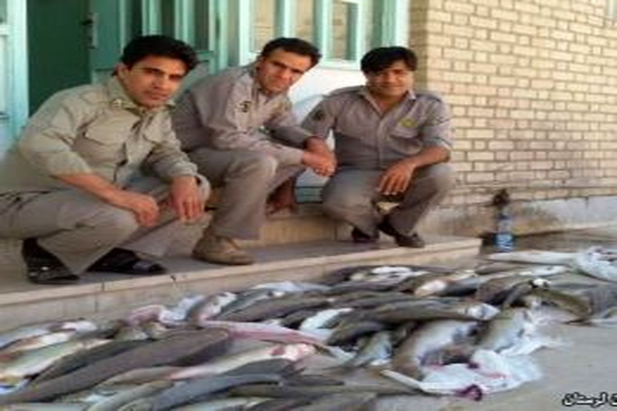 دستگیری صیادان روزه خوار صید ماهی در پلدختر