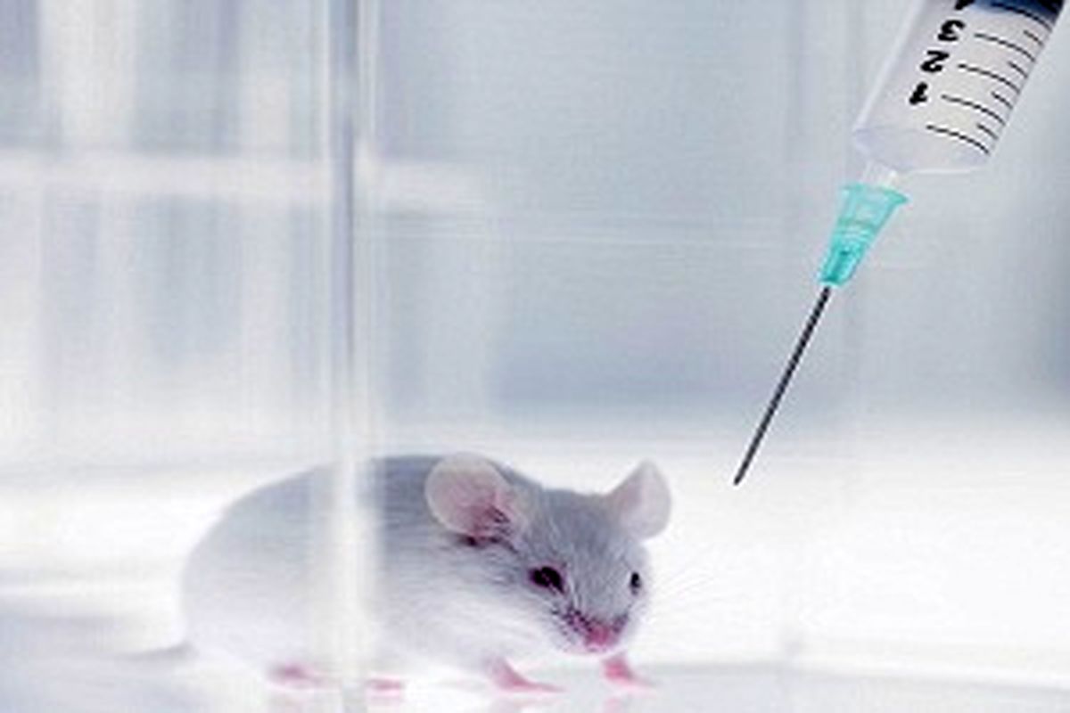 وقتی حیوانات قربانی زیبایی خانم ها می شوند!