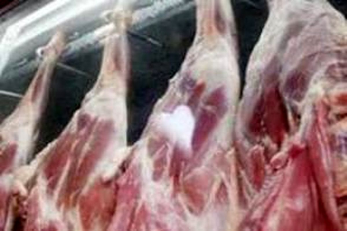 تامین ۲۳ هزارتن گوشت قرمز کشور از سیستان و بلوچستان