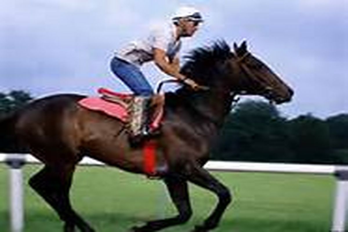 عمرانی مقام اول رقابت‌های بین المللی پرش با اسب تهران را به دست آورد