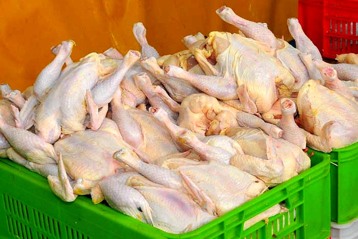گرمای هوا علت گرانی مرغ در همدان!!