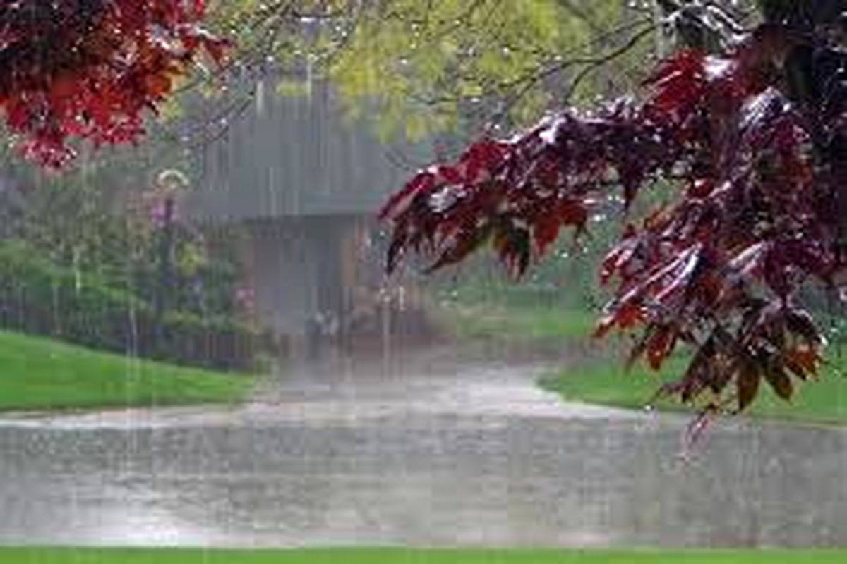 ۵۶۱میلی متر بارش باران در گلستان از ابتدای مهر سال گذشته تا کنون