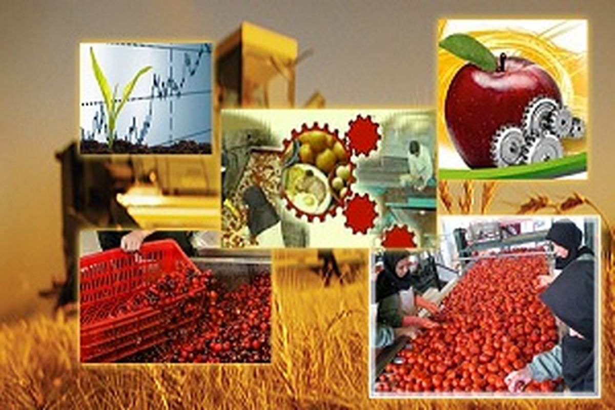 ۳۵ واحد صنایع تبدیلی کشاورزی فعال می شود
