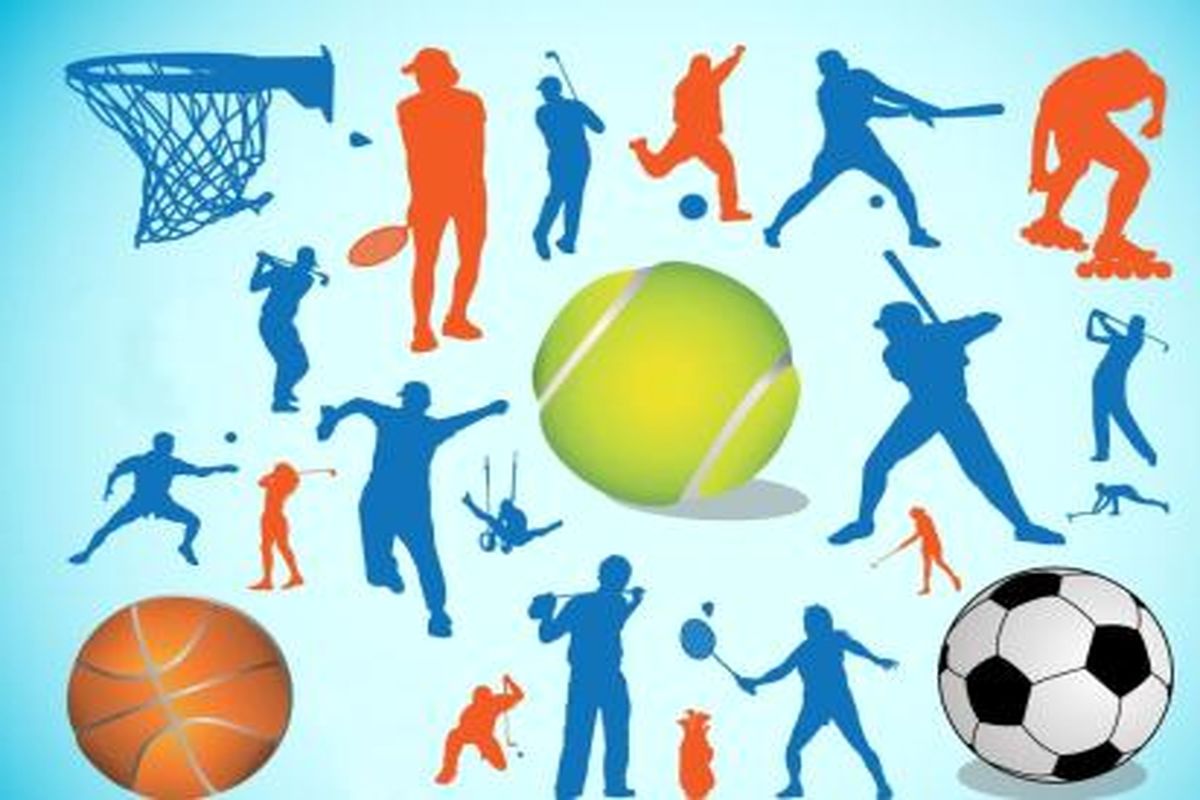لایحه «تشکیل سازمان نظام تخصصی ورزش کشور» به مجلس تقدیم شد