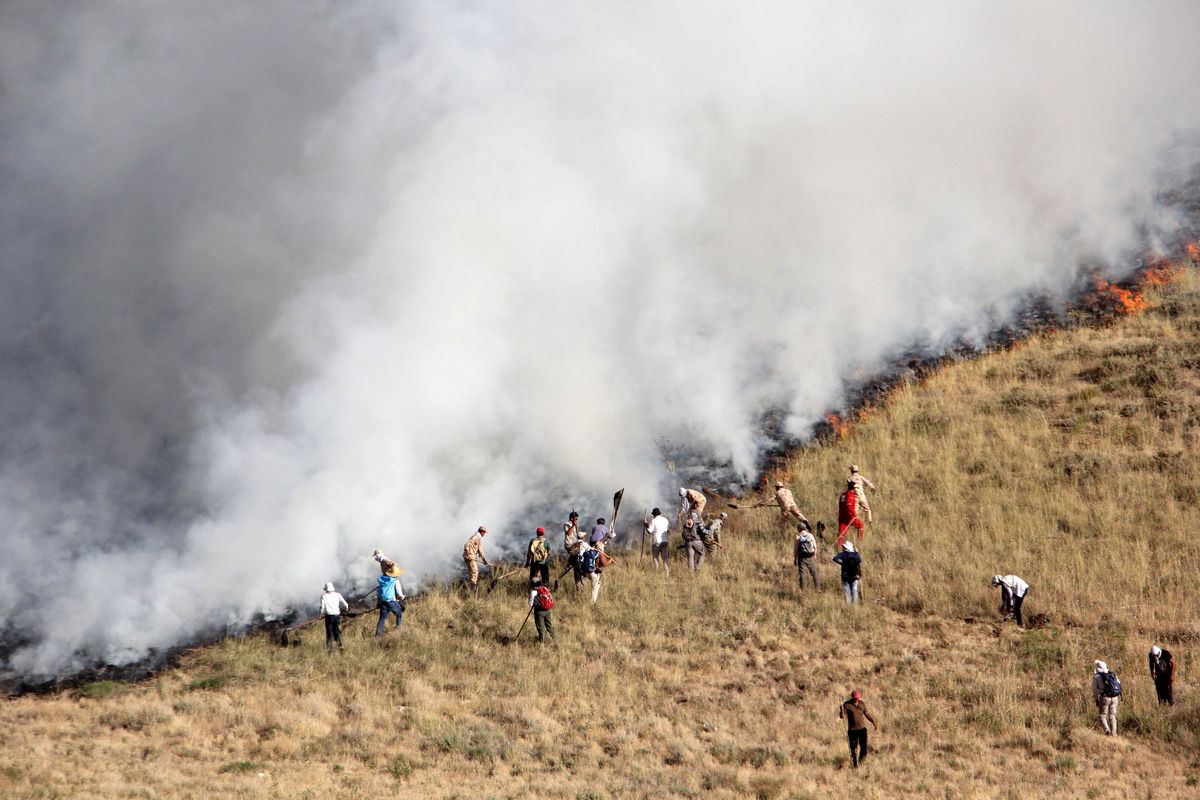 مهار آتش سوزی در پارک جنگلی و تقدیر شهردار ارومیه از آتش نشانان و کارگران فضای سبز