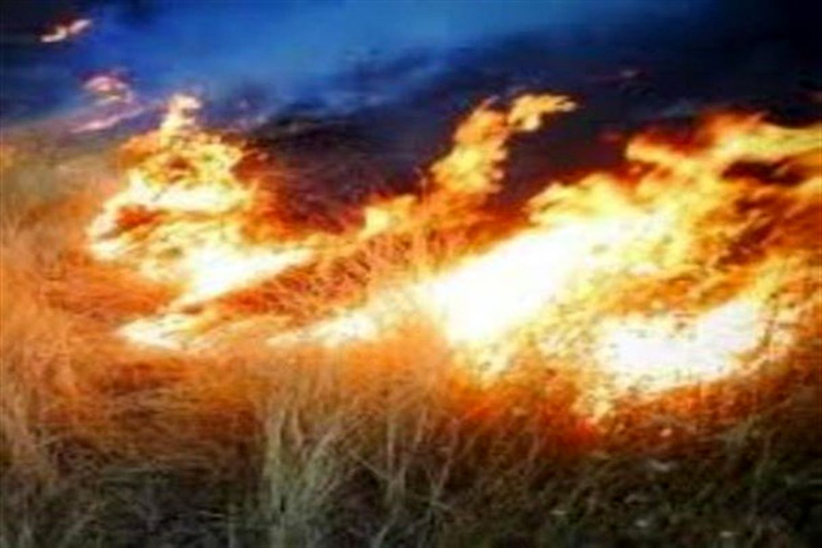 افزایش گسترش آتش سوزی مراتع در سایه کمبود امکانات
