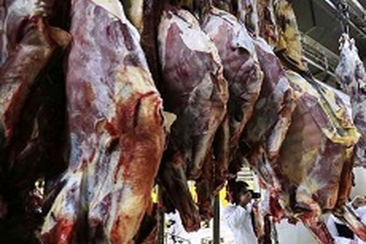توزیع گوشت قربانی بین ۳۰۰  خانواده نیازمند حاشیه شهر مشهد