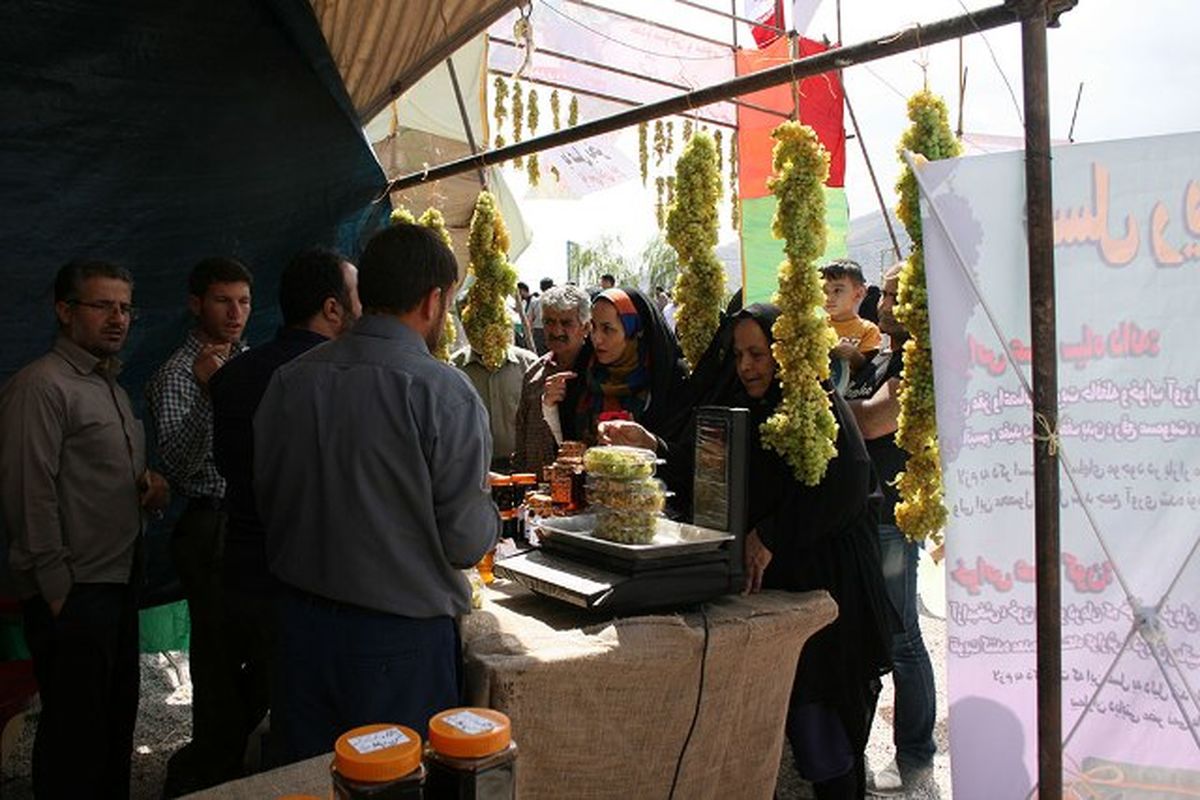 جشنواره انگور روستای حسن رباط