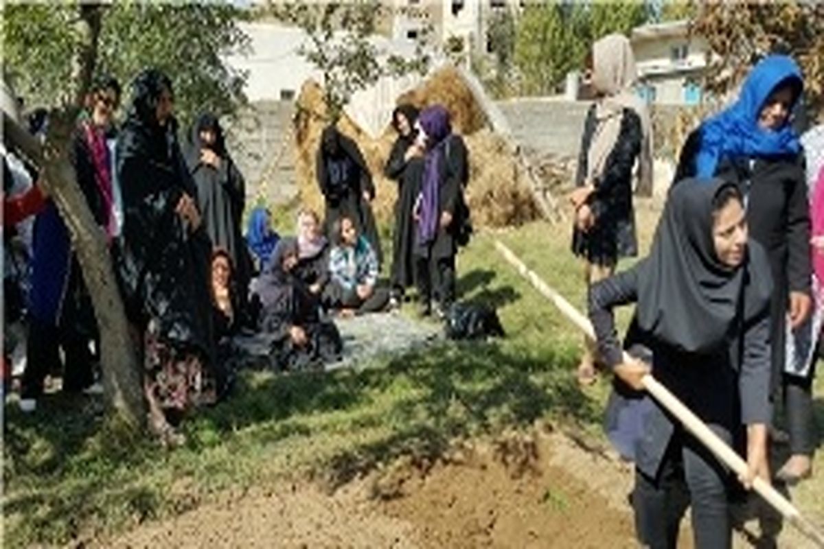 کشت الگویی زعفران بدست بانوان با حمایت تعاون روستایی در استان اردبیل