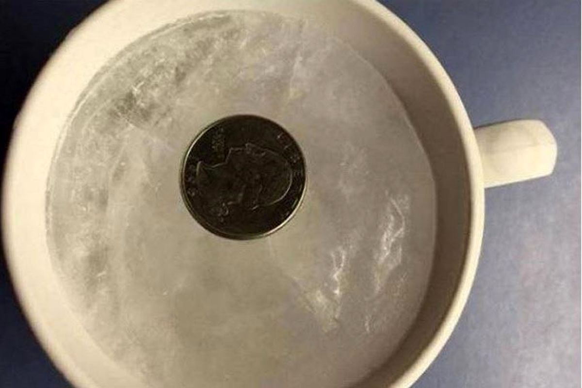 اطلاع از فاسد شدن غذا در فریزر، با یک سکه
