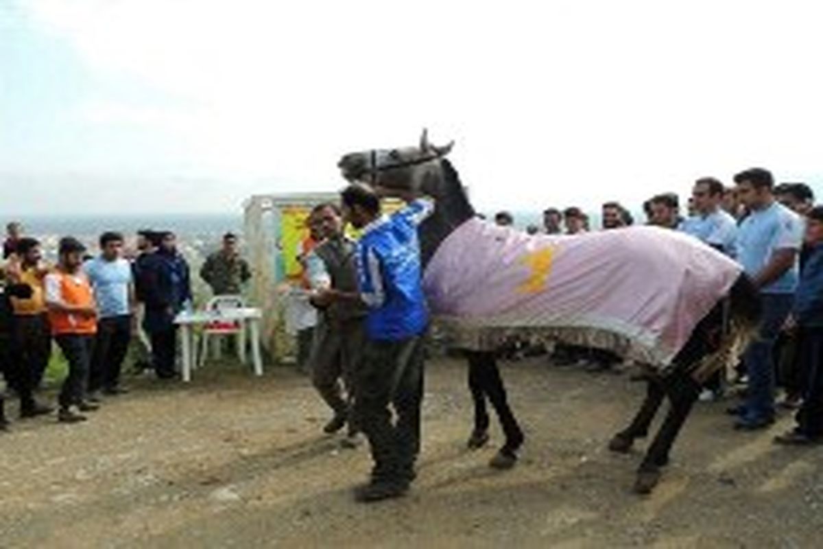 برگزاری مسابقات کورس تابستانه اسب سواری در رودسر