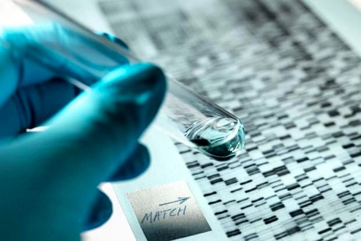 زن جوان می گوید در زندگی ام گناهی نکره ام اما آزمایشDNAمی گوید دخترش فرزند شوهر او نیست