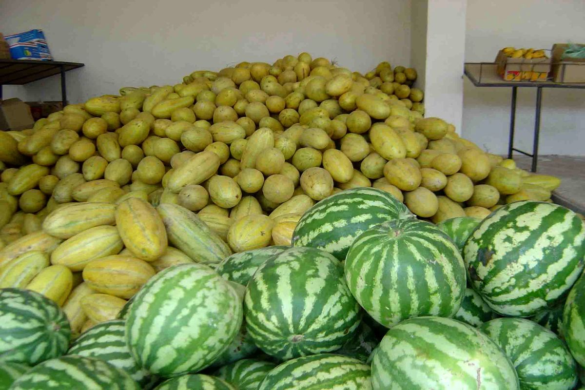 عدم وجود بازار فروش مشکل عمده کشاورزان آذربایجان غربی است