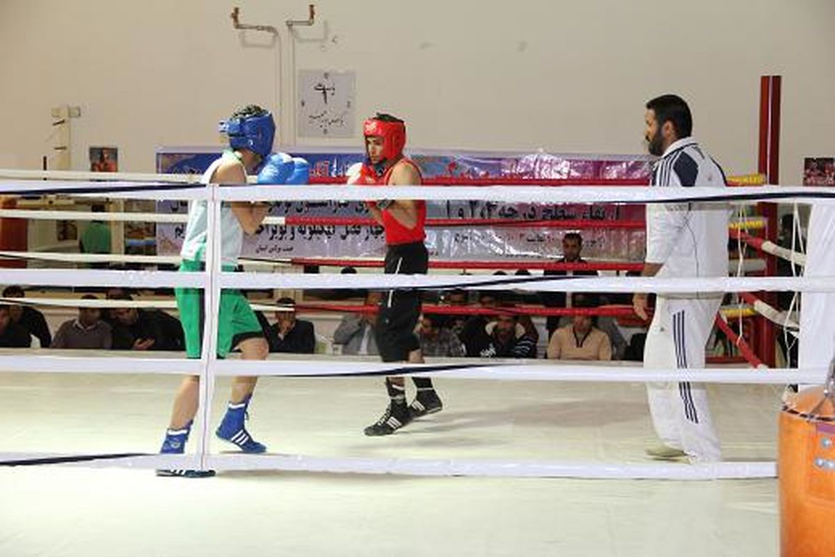 درخشش بوکسورهای هم استانی در مسابقات چهارجانبه بوشهر
