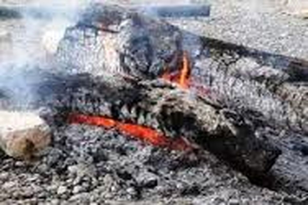 پنج حلقه کوره زغال در منطقه کوه خامی باشت کشف شد