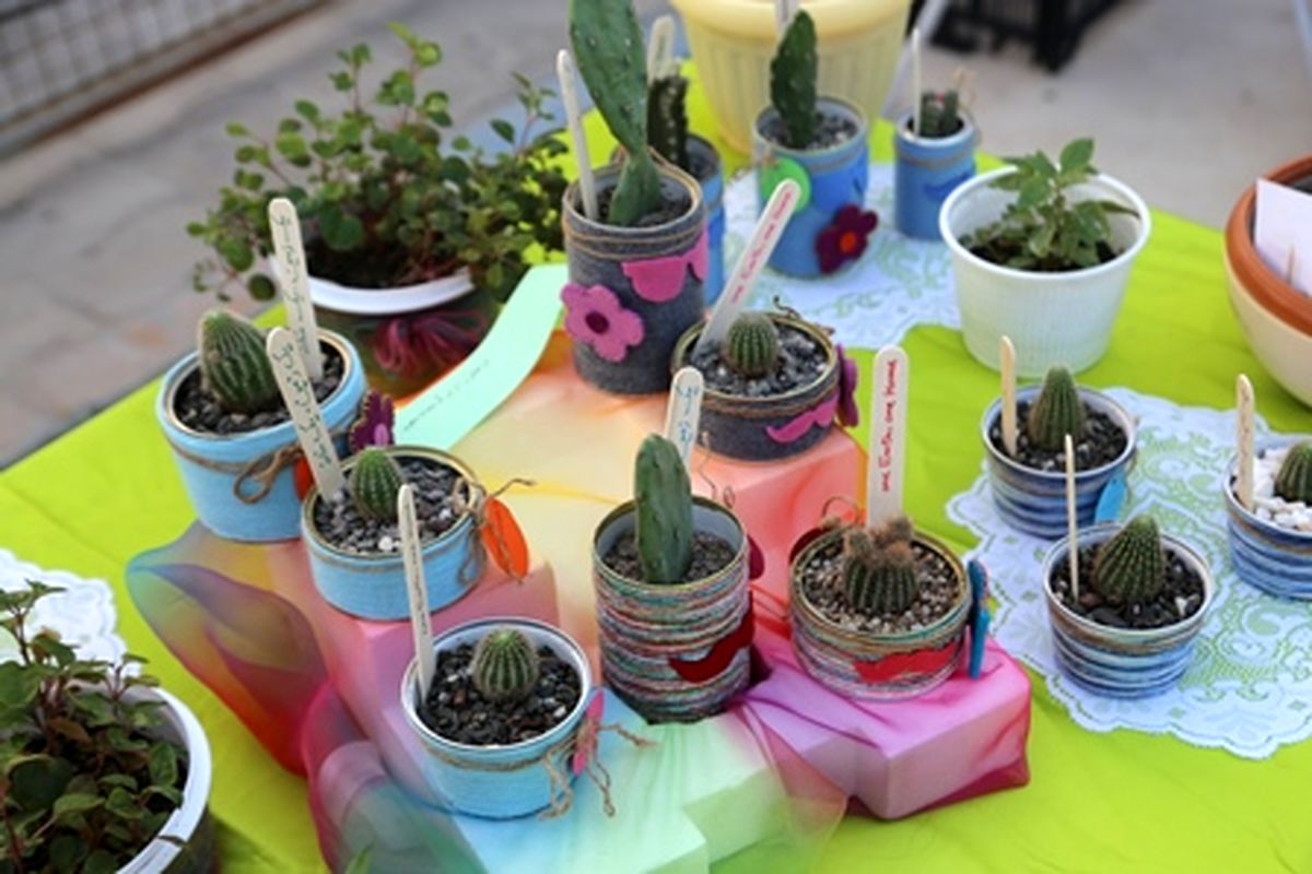 جشنواره گل و گیاه آپارتمانی در آب منطقه ای استان هرمزگان برگزار شد.