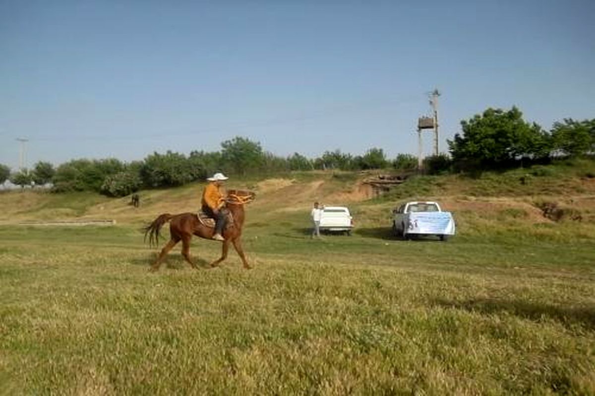 درخشش مجدد سوارکاران و اسبهای لرستانی در مسابقات پاییزه خوزستان