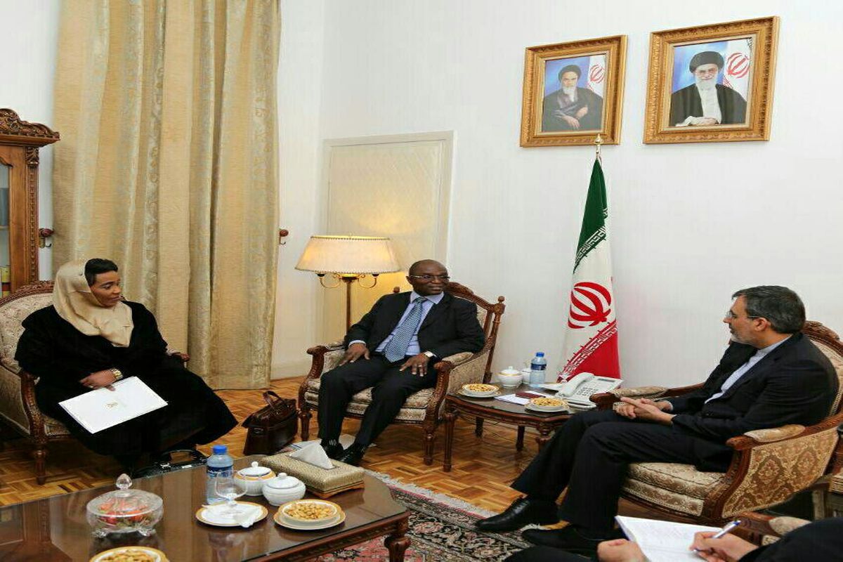 ایران آماده گسترش همکاری در حوزه های اقتصادی و تجاری با آفریقای جنوبی است