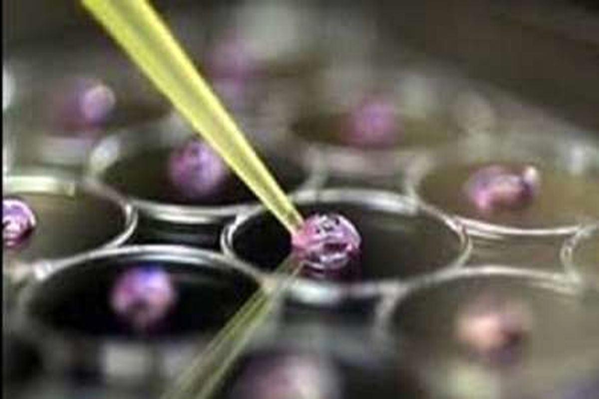 گشایش نخستین آزمایشگاه دانش آموزی سلول های بنیادین کشور درالبرز