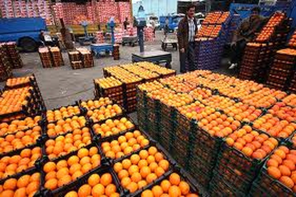 تمدید طرح توزیع میوه طرح تنظیم بازار تا اطلاع ثانوی