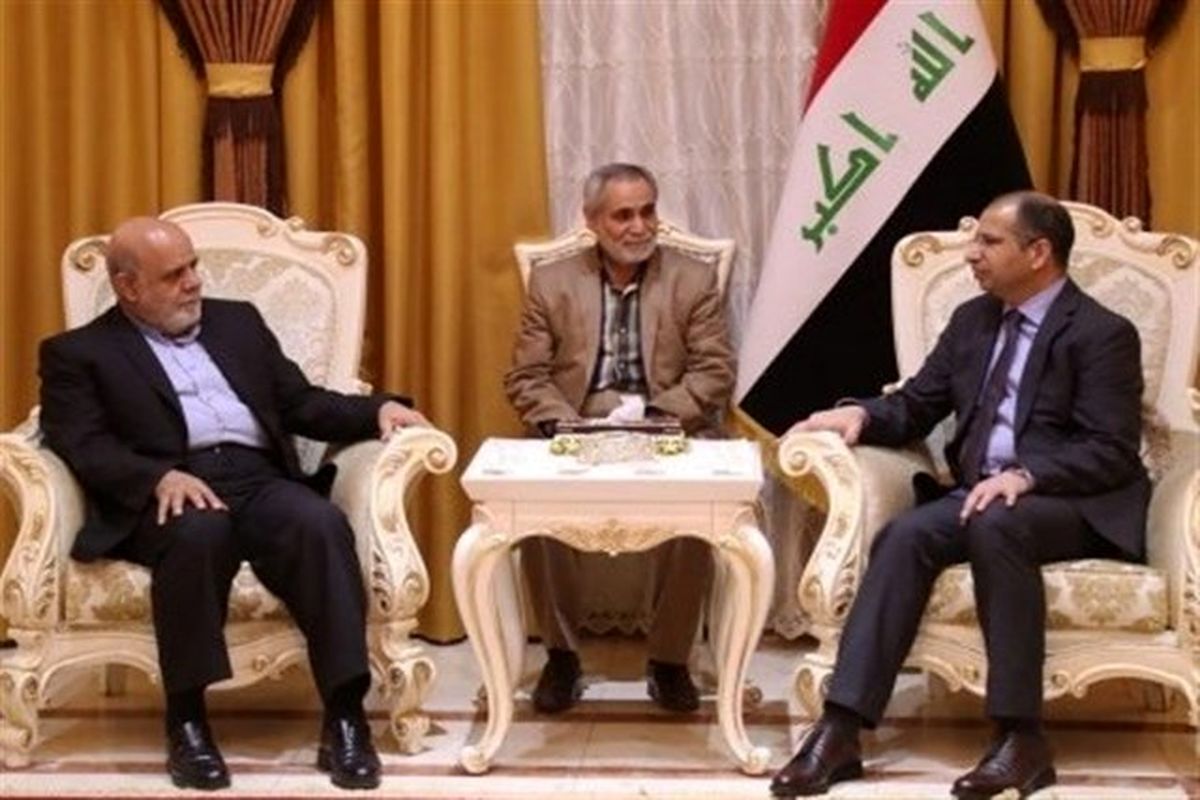 ایرج مسجدی با رییس پارلمان عراق دیدار کرد