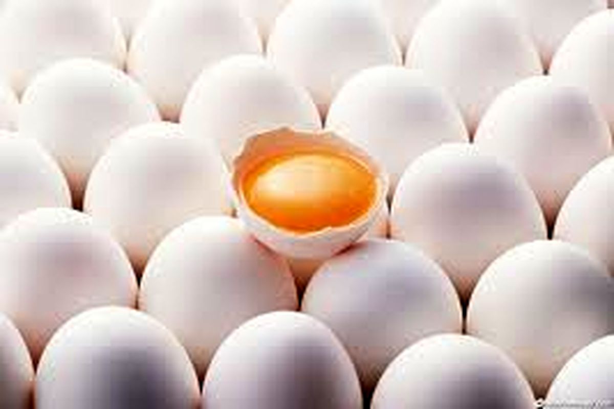 قیمت تخم‌مرغ در بازار استان کاهش یافت