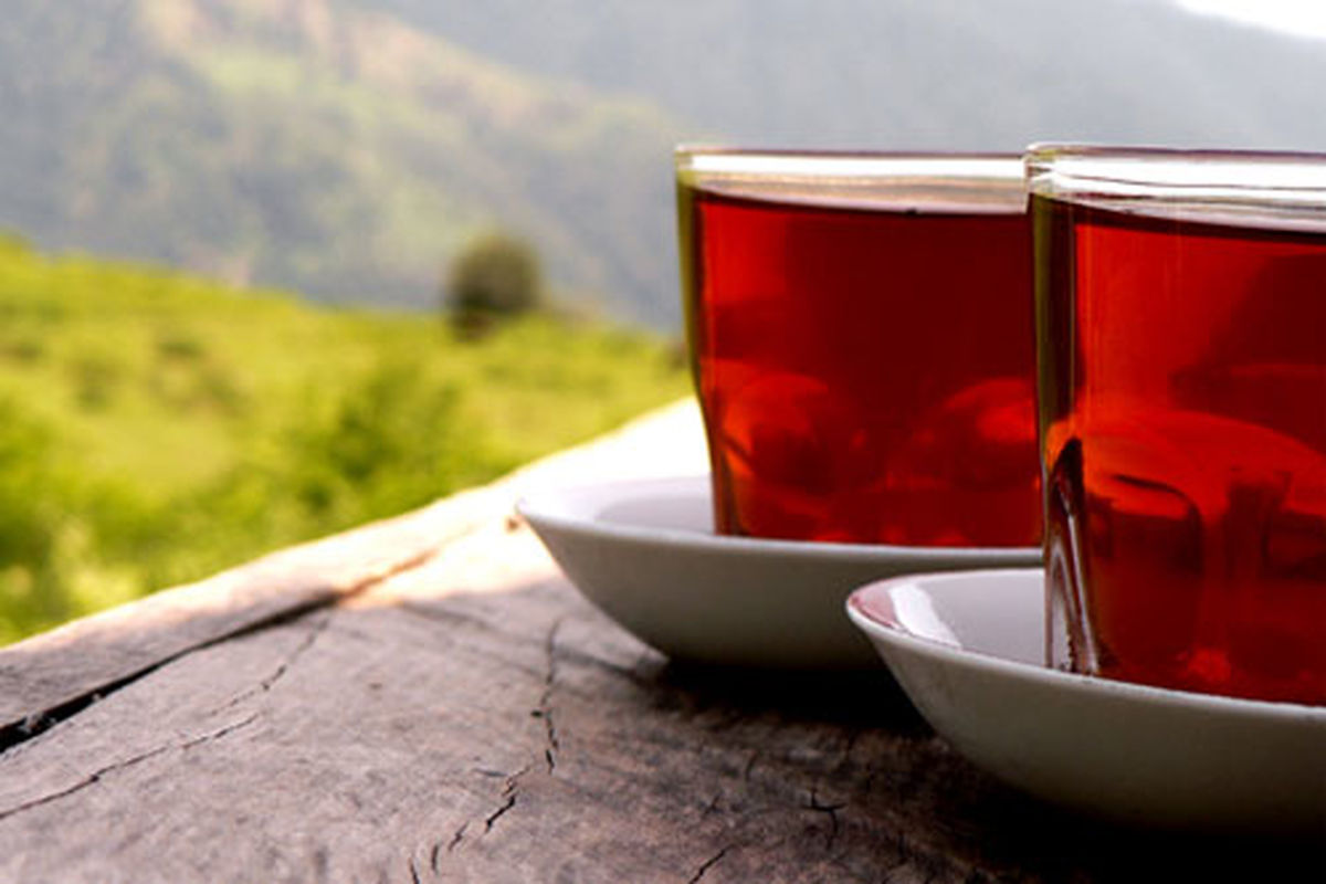 هرآنچه که باید درباره مصرف چای بدانید