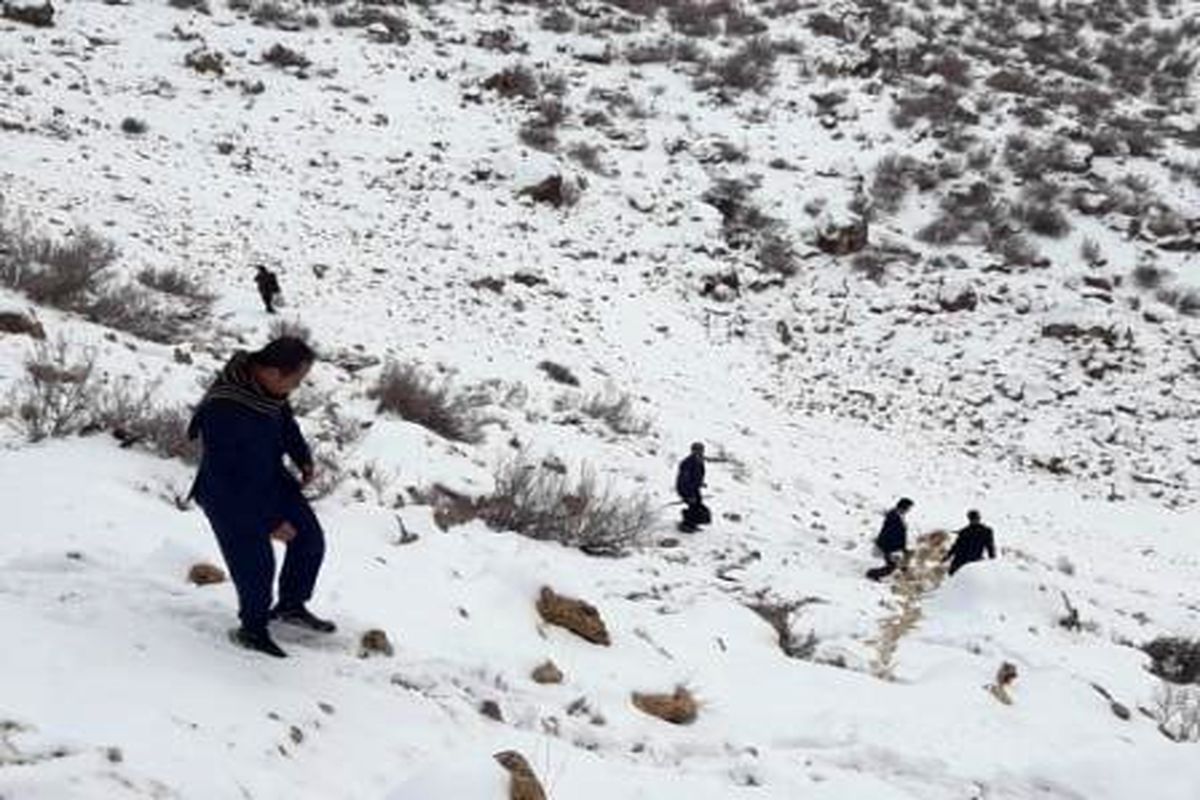 بازدید از مدارس روستاهای کوهستانی با سه ساعت پیاده روی در برف انجام شد