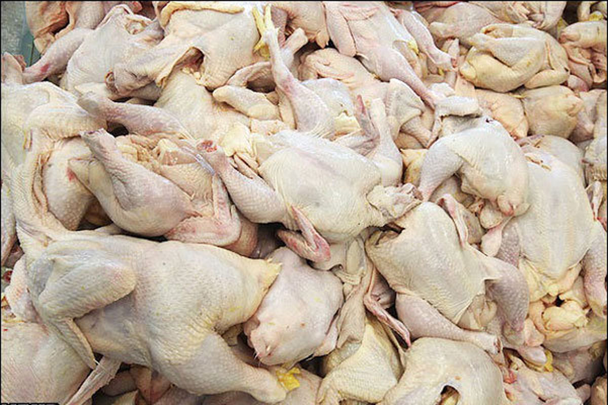 کاهش نرخ گوشت مرغ