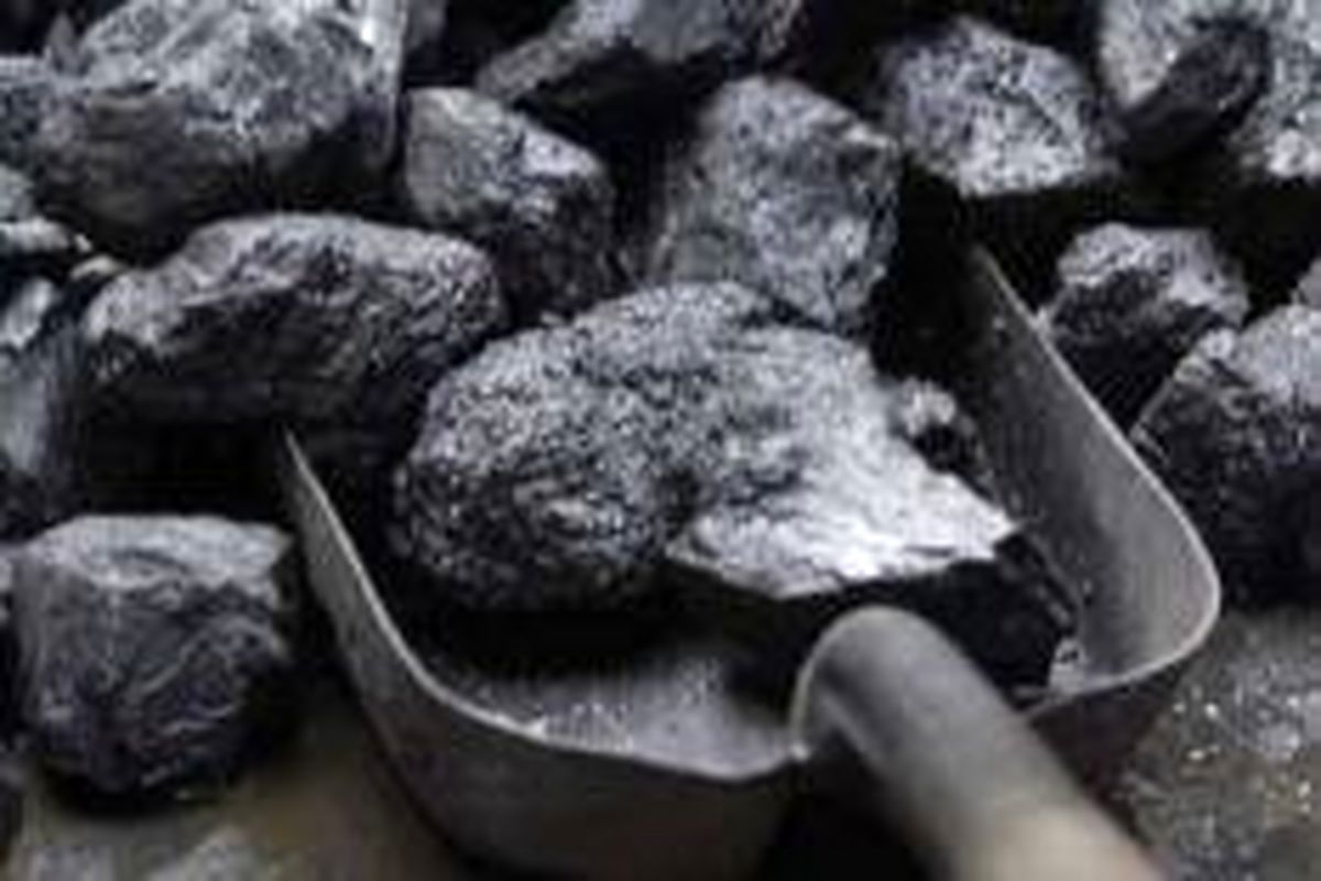 افزایش ۲۵ درصدی تولید کنسانتره زغال طبس و البرز مرکزی