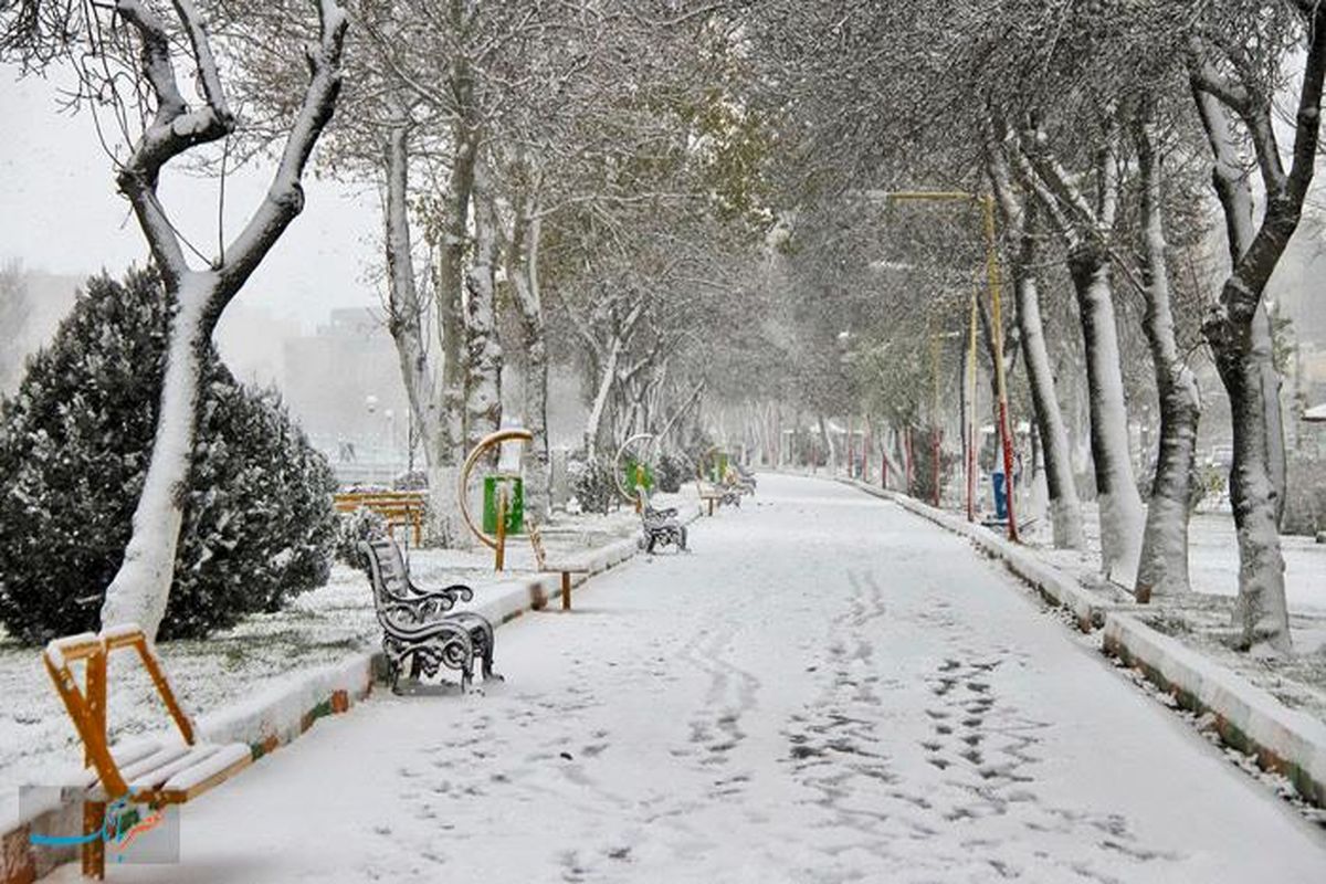 زنجان با سفیدی برف چهره زمستانی بخود گرفت
