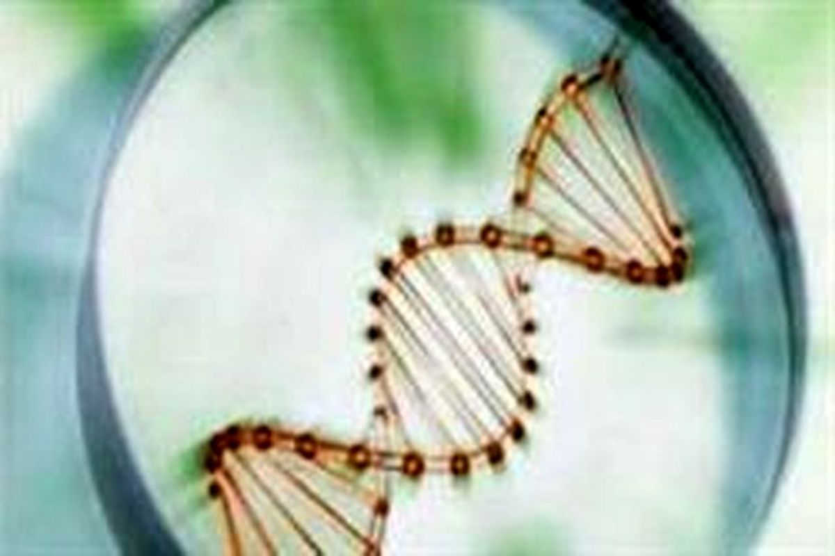 سند راهبردی پدافند غیرعامل منابع و ذخائر ژنتیک کشور به تصویب رسید