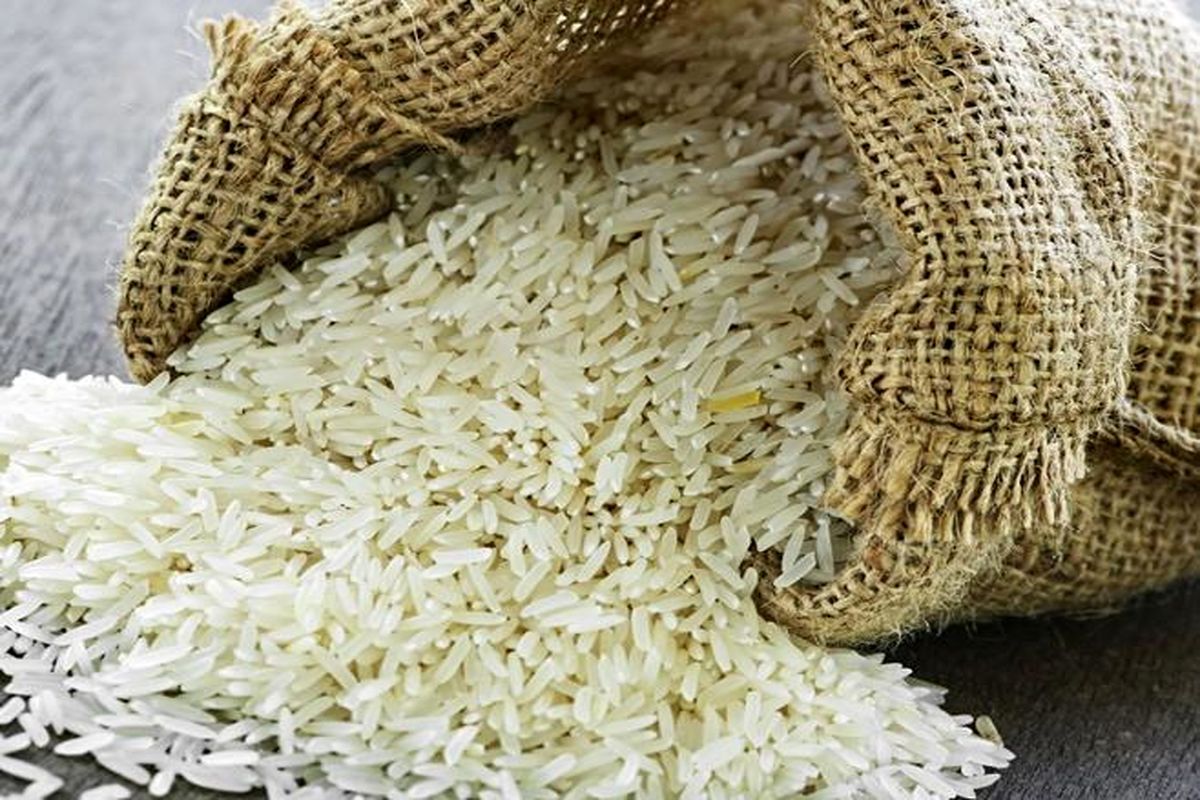 آغاز خرید تضمینی برنج از هفته آینده در گیلان
