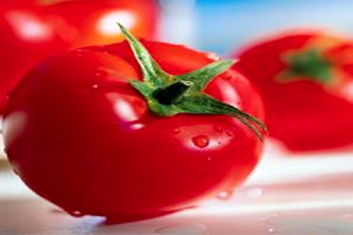 افزایش طول عمر با مصرف گوجه