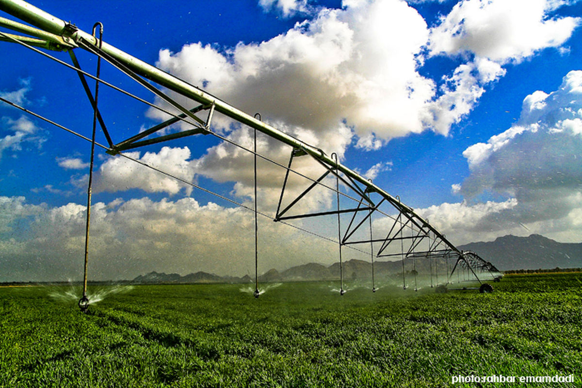 ۳هزار هکتار از زمین های کشاورزی دشت میناب به سیستم آبیاری نوین مجهز می شوند