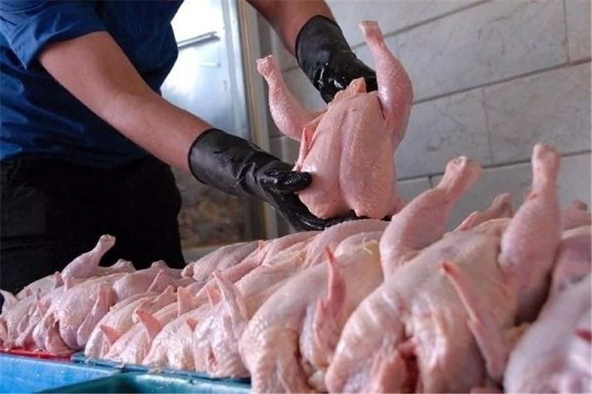 کمبود تامین گوشت قرمز و مرغ منجمد بازار شب عید در کرمانشاه