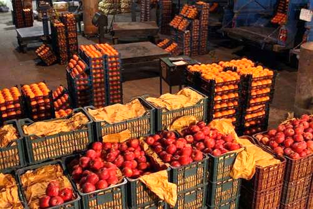 یک هزار تن میوه شب عید در انبارهای استان مرکزی ذخیره سازی شد