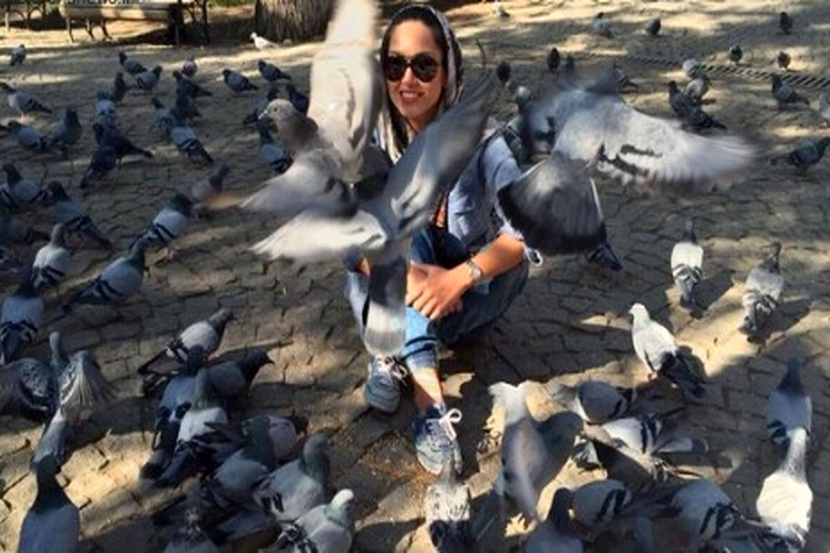 علت تلفات کبوتران نهالستان در  اسلام‌آبادغرب