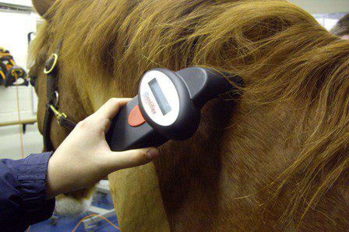 اخذ مجوزمیکروچیپ‌گذاری و نمونه‌برداری DNA اسب‌ها