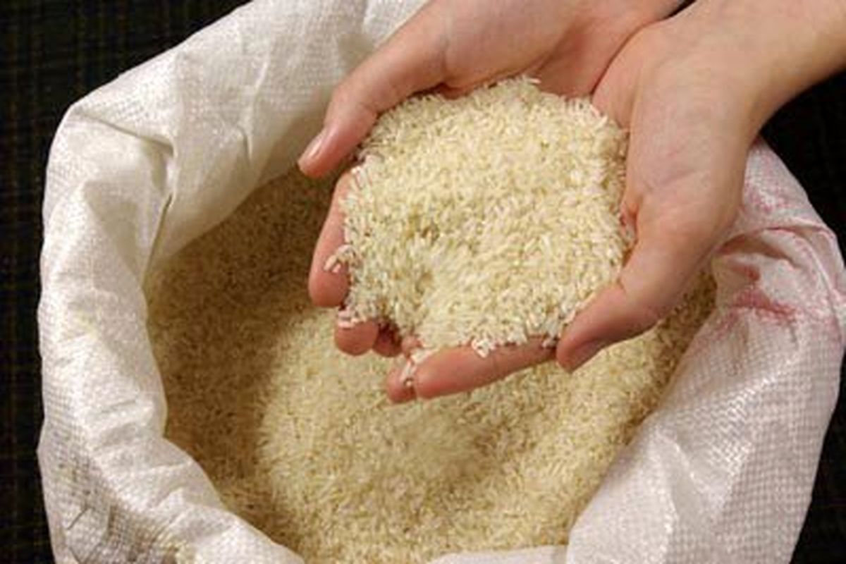 چابهار به مرکز تولید و فراوری برنج هندی تبدیل می‌شود